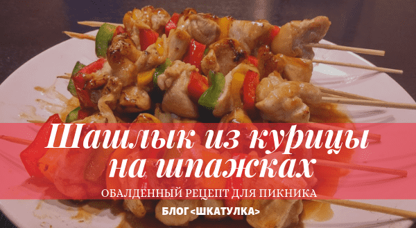 recept_shashlychka_iz_kuricy