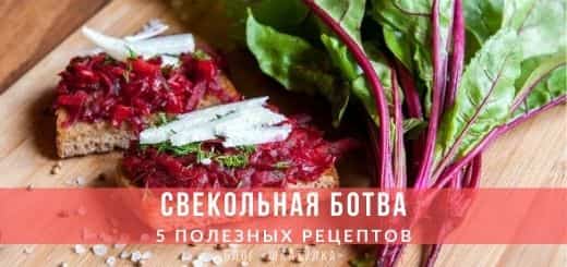 Свекольная ботва в рецептах