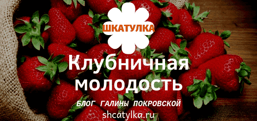 klubnichnaya_maska_dlya_lica_