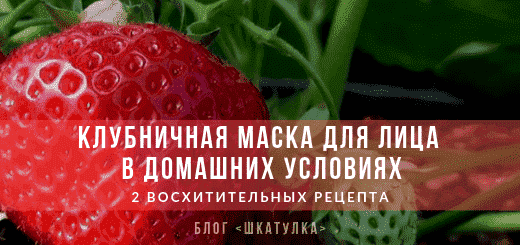 omolazhivayushhaya_klubnichnaya_maska_dlya_lica_