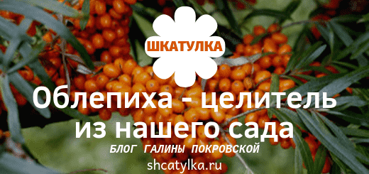 лечение облепихой lechenie_oblepixoj