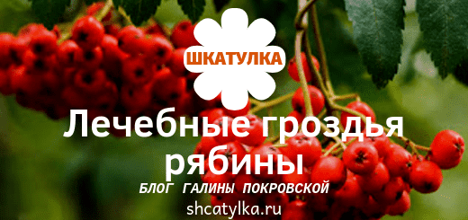 ryabina_krasnaya_lechebnye_svojstva