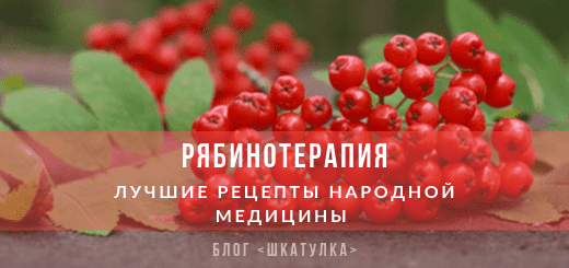ryabina_krasnaya_lechebnye_svojstva_narodnye_recepty