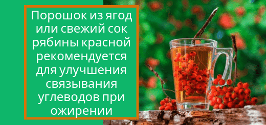 ryabina_krasnaya_lechenie_gorla