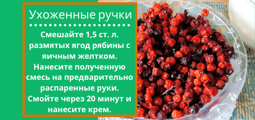Ягоды рябины для рук