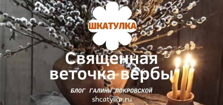 Веточка вербы