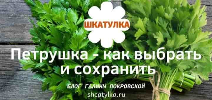 Петрушка свежая