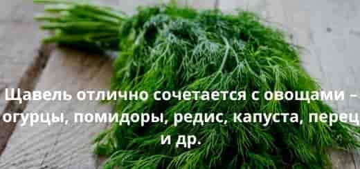 Тонкости супа