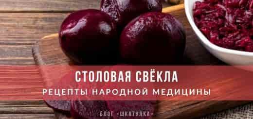Корнеплод как лекарство