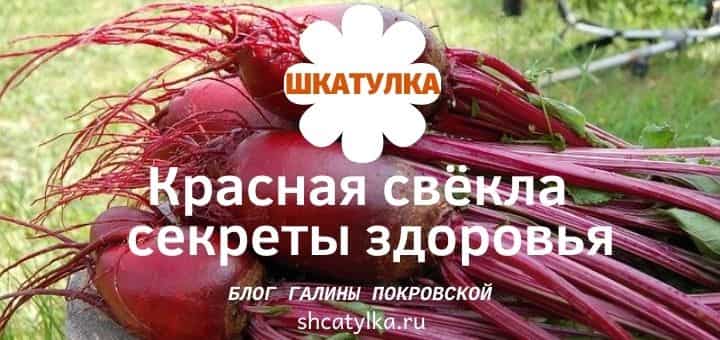 Красная свёкла в лечебных рецептах