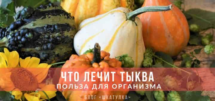 польза тыквы для организма