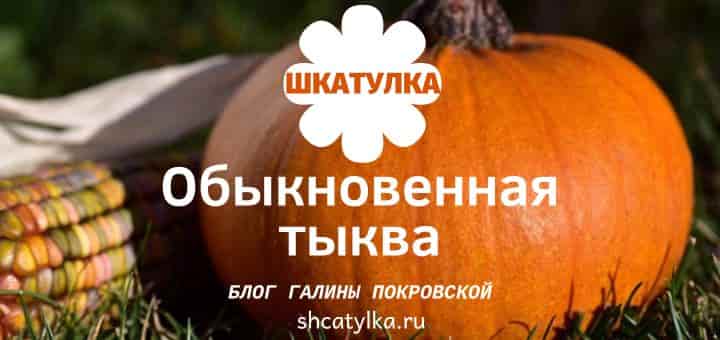 Польза тыквы