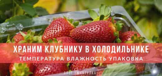 kak-khranit-klubniku