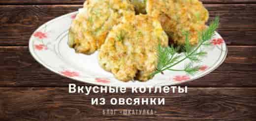 kotlety-iz-ovsyanki