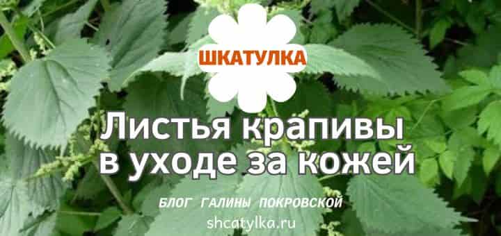 listya-krapivy